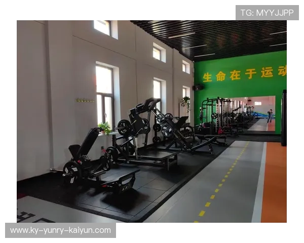 如何辨别优质健身器材:购买前必知的要点 如何辨别优质健身器材:购买前必知的要点